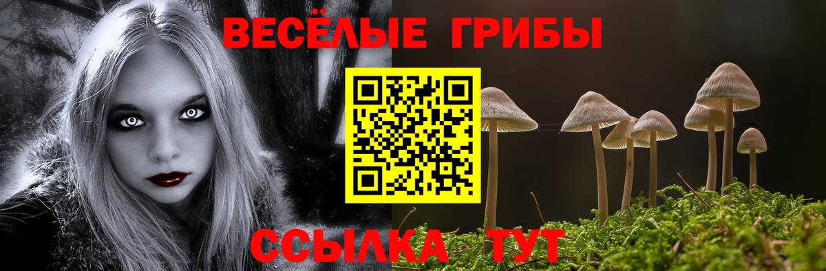 Псилоцибиновые грибы прущие грибы  Вход с VPN  Светлоград 