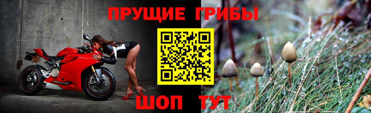 Галлюциногенные грибы прущие грибы Светлоград